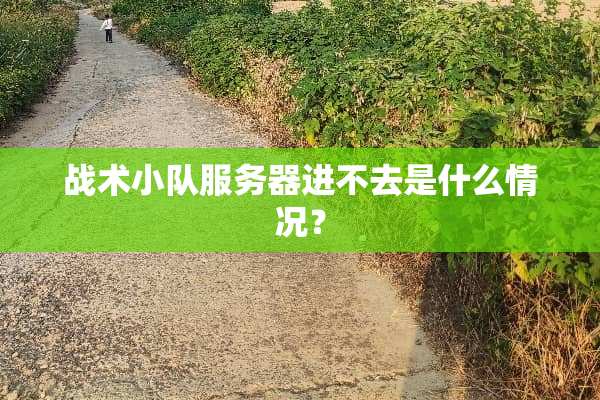 战术小队服务器进不去是什么情况？