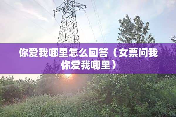 你爱我哪里怎么回答（女票问我你爱我哪里）