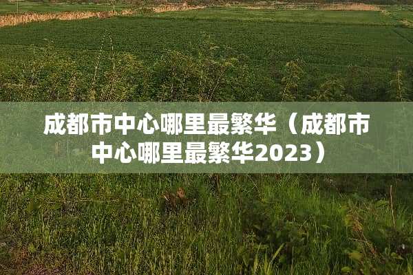 成都市中心哪里最繁华（成都市中心哪里最繁华2023）