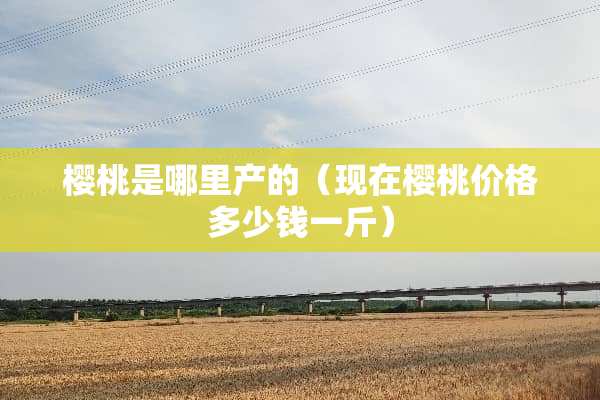 樱桃是哪里产的（现在樱桃价格多少钱一斤）