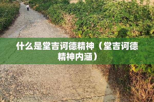 什么是堂吉诃德精神（堂吉诃德精神内涵）