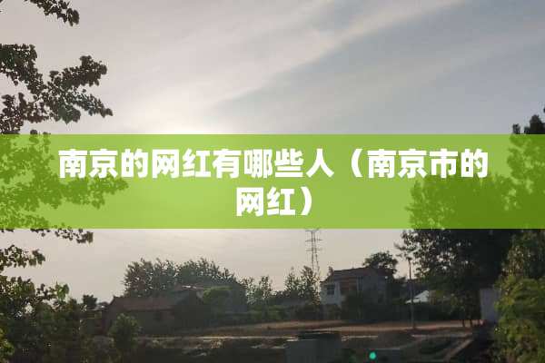 南京的网红有哪些人（南京市的网红）