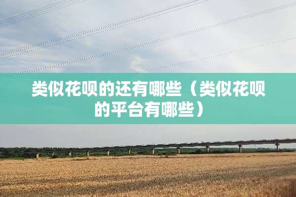 类似花呗的还有哪些（类似花呗的平台有哪些）