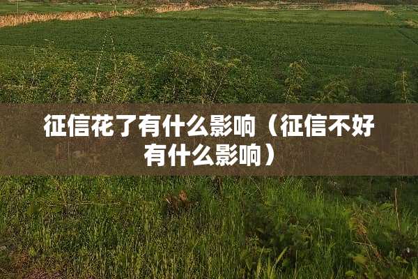征信花了有什么影响（征信不好有什么影响）