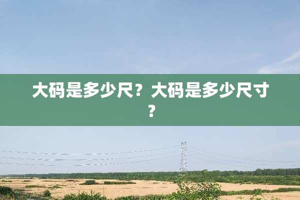 大码是多少尺？大码是多少尺寸？