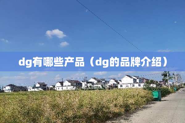 dg有哪些产品（dg的品牌介绍）