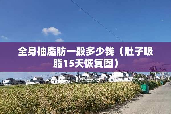 全身抽脂肪一般多少钱（肚子吸脂15天恢复图）