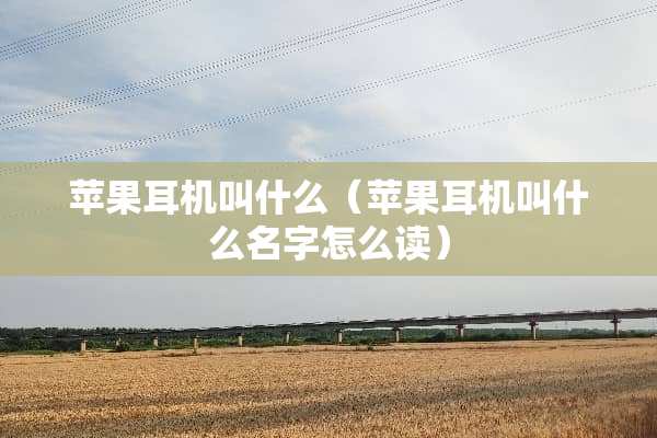 苹果耳机叫什么（苹果耳机叫什么名字怎么读）