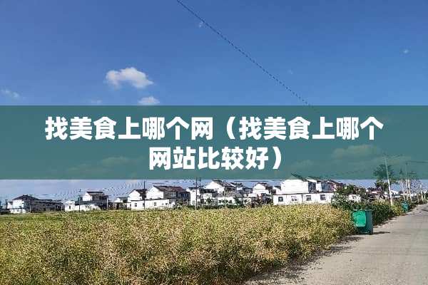 找美食上哪个网（找美食上哪个网站比较好）