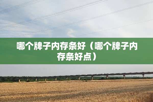 哪个牌子内存条好（哪个牌子内存条好点）