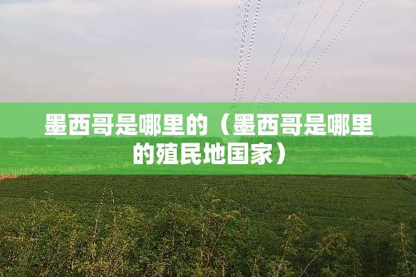 墨西哥是哪里的（墨西哥是哪里的殖民地国家）