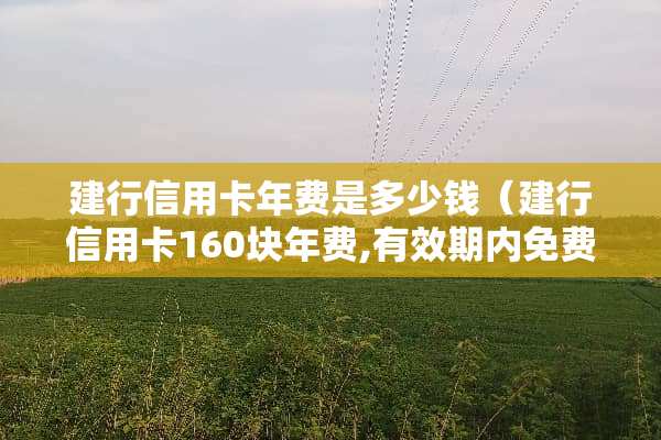 建行***年费是多少钱（建行***160块年费,有效期内免费）