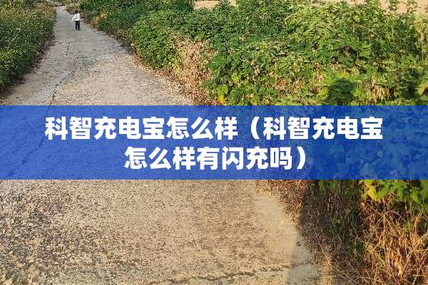 科智充电宝怎么样（科智充电宝怎么样有闪充吗）