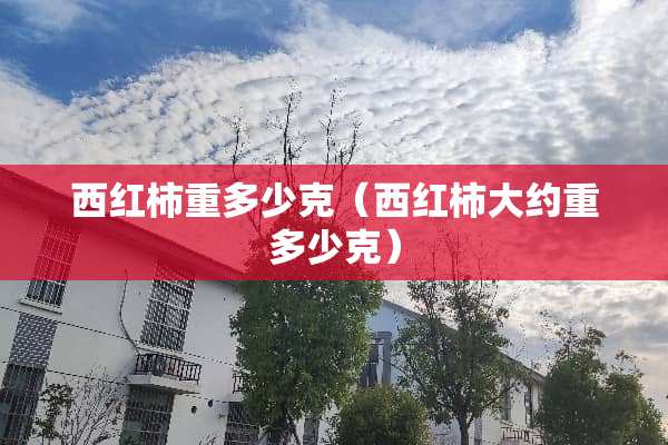 西红柿重多少克（西红柿大约重多少克）