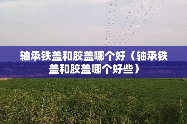轴承铁盖和胶盖哪个好（轴承铁盖和胶盖哪个好些）