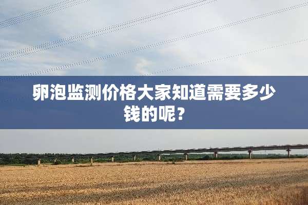 卵泡监测价格大家知道需要多少钱的呢？