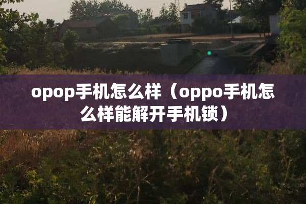 opop手机怎么样（oppo手机怎么样能解开手机锁）