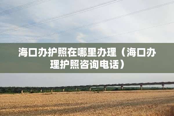 海口办护照在哪里办理（海口办理护照咨询电话）