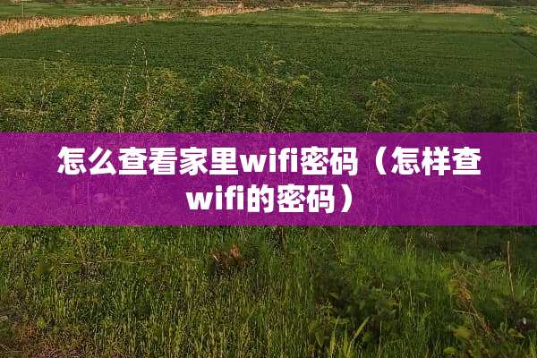 怎么查看家里wifi密码（怎样查wifi的密码）