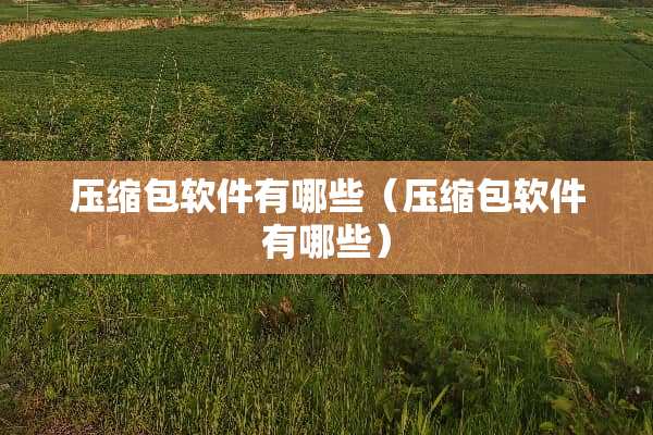 压缩包软件有哪些（压缩包软件有哪些）