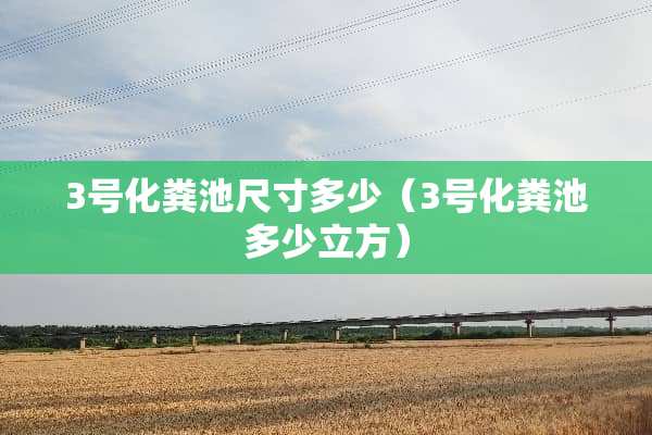 3号化粪池尺寸多少（3号化粪池多少立方）