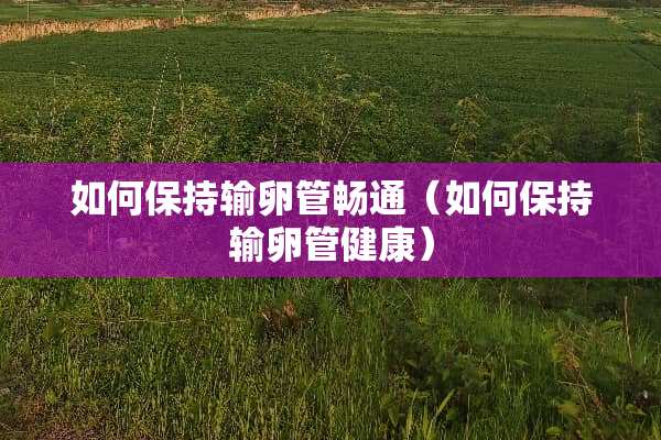 如何保持输卵管畅通（如何保持输卵管健康）