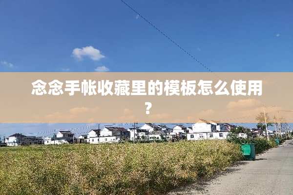 念念手帐收藏里的模板怎么使用？