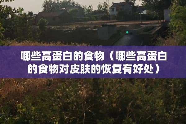 哪些高蛋白的食物（哪些高蛋白的食物对皮肤的恢复有好处）