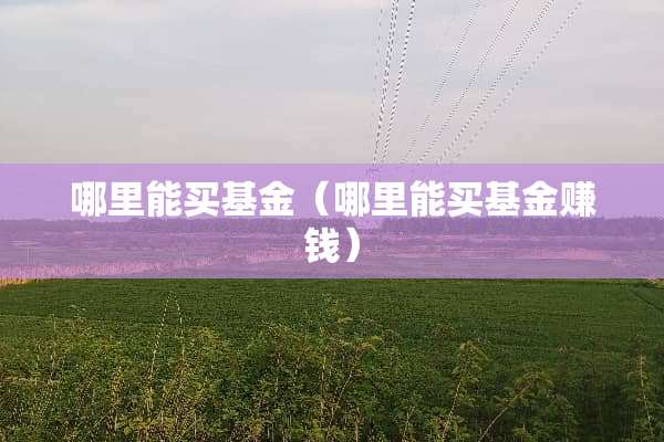 哪里能买基金（哪里能买基金赚钱）