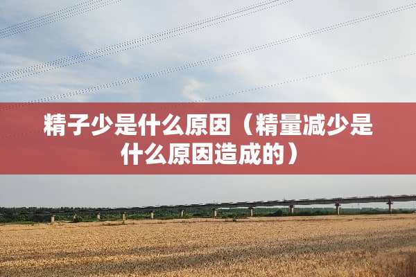 **少是什么原因（精量减少是什么原因造成的）