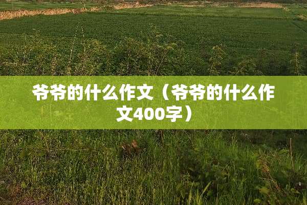爷爷的什么作文（爷爷的什么作文400字）