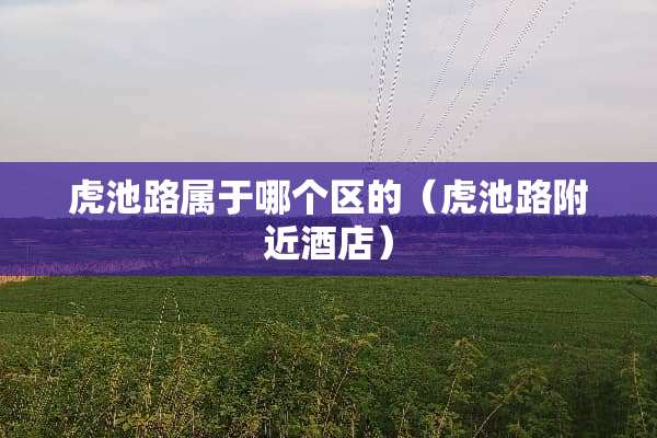 虎池路属于哪个区的（虎池路附近酒店）