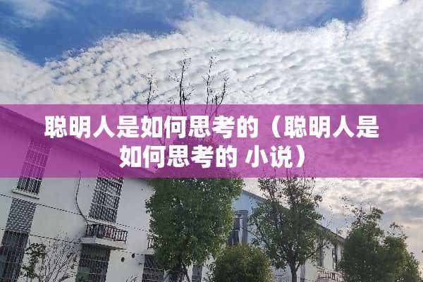 聪明人是如何思考的（聪明人是如何思考的 小说）