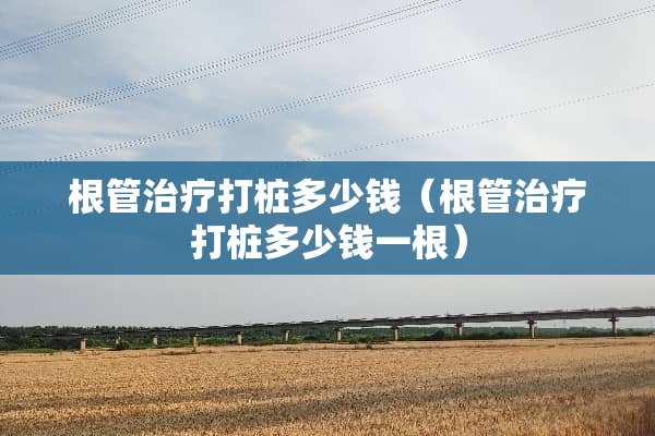 根管治疗打桩多少钱（根管治疗打桩多少钱一根）