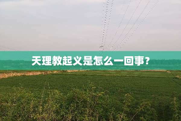 天理教起义是怎么一回事？
