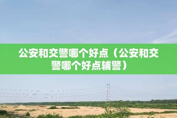 **和交警哪个好点（**和交警哪个好点辅警）