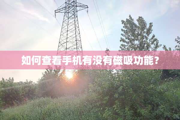 如何查看手机有没有磁吸功能？