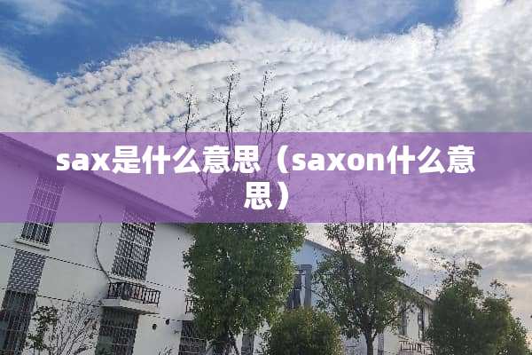 sax是什么意思（saxon什么意思）