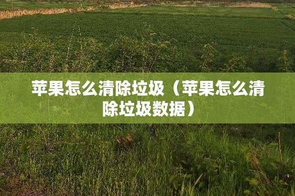 苹果怎么清除垃圾（苹果怎么清除垃圾数据）