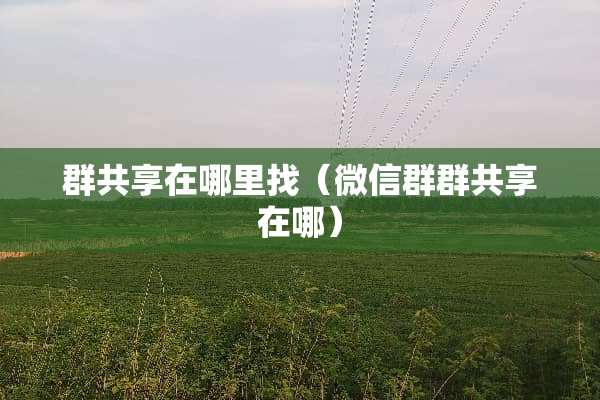 群共享在***（微信群群共享在哪）
