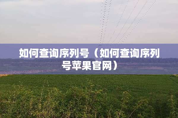 如何查询序列号（如何查询序列号苹果官网）