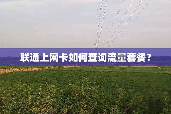 联通上网卡如何查询流量套餐？