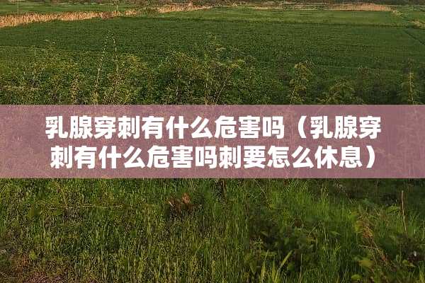 *腺穿刺有什么危害吗（*腺穿刺有什么危害吗刺要怎么休息）