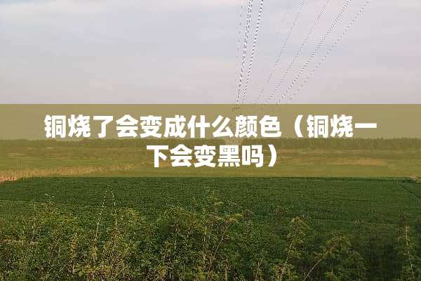 铜烧了会变成什么颜色（铜烧一下会变黑吗）