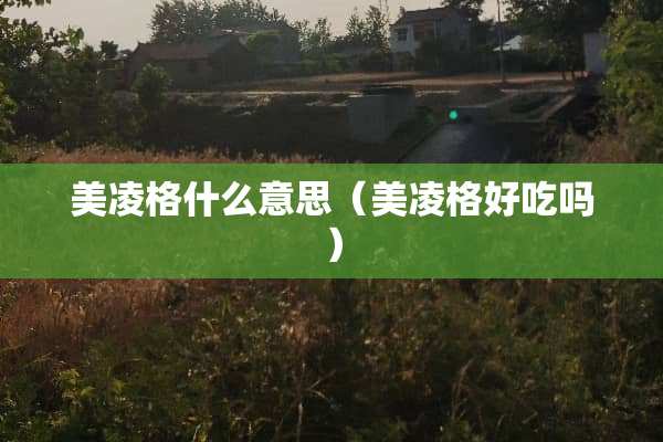 美凌格什么意思（美凌格好吃吗）