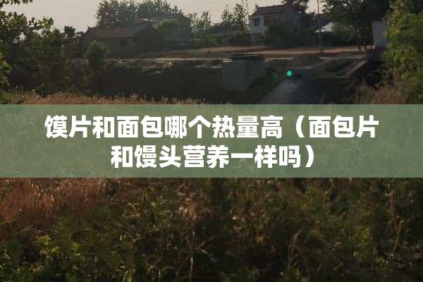 馍片和面包哪个热量高（面包片和馒头营养一样吗）