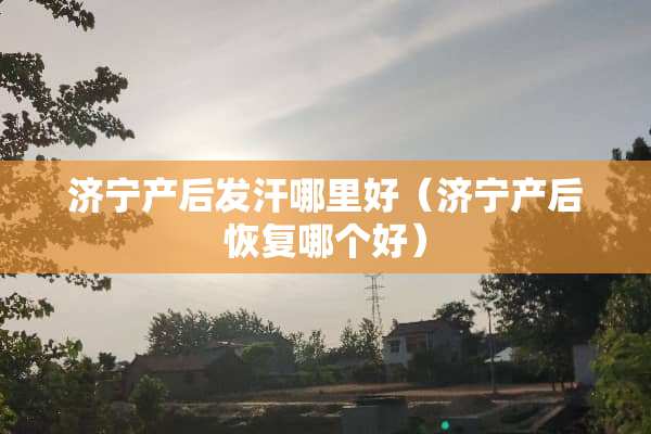 济宁产后发汗哪里好（济宁产后恢复哪个好）