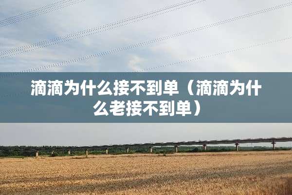 滴滴为什么接不到单（滴滴为什么老接不到单）