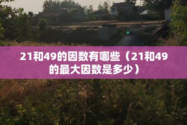 21和49的因数有哪些（21和49的最大因数是多少）
