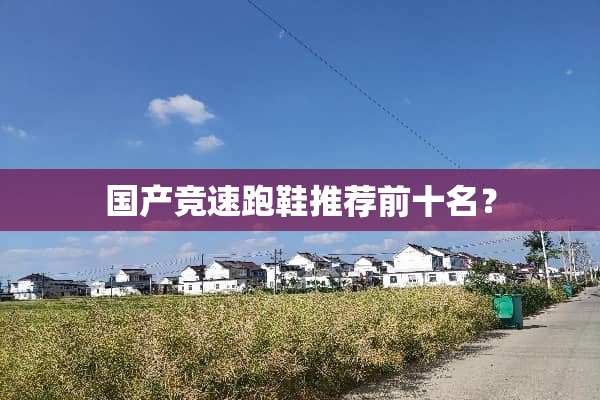 国产竞速跑鞋推荐前十名？